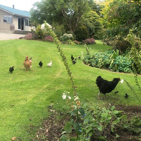 Southland Organic Farmstay Invercargill Dış mekan fotoğraf